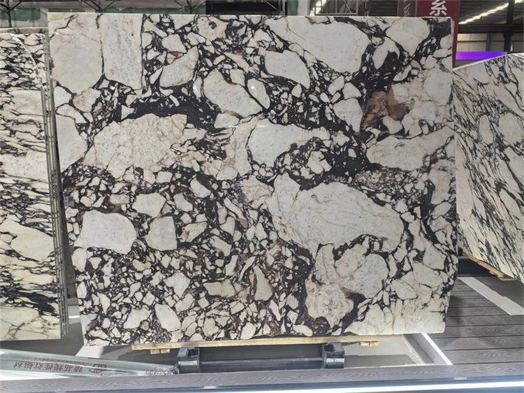 Polished Calacatta Viola Marble Polished Calacatta Viola Marble